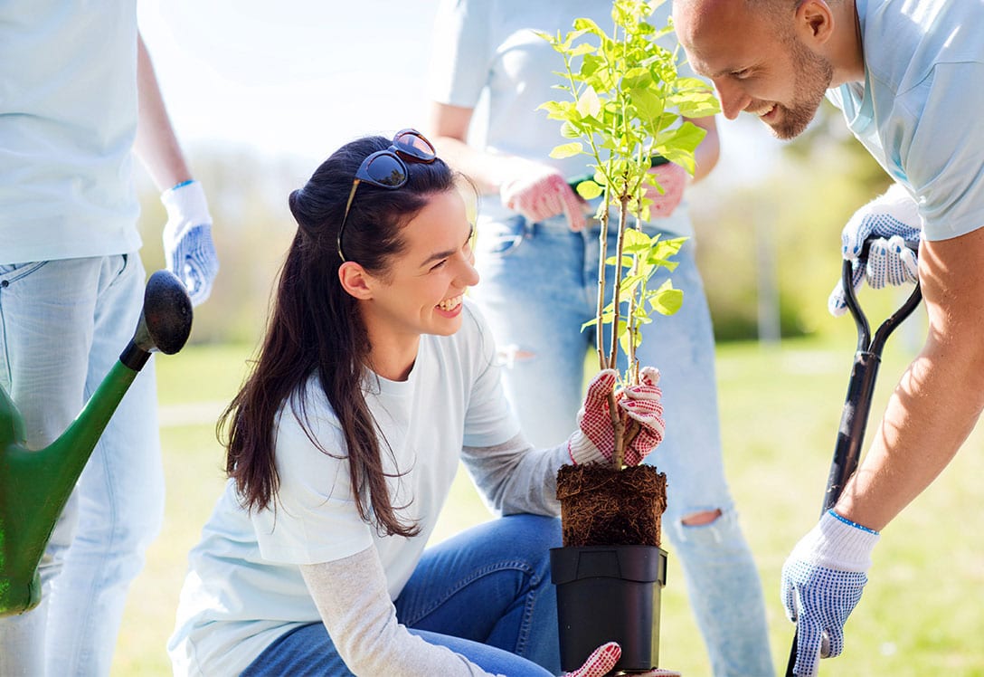 Plantar un árbol como ocio solidario