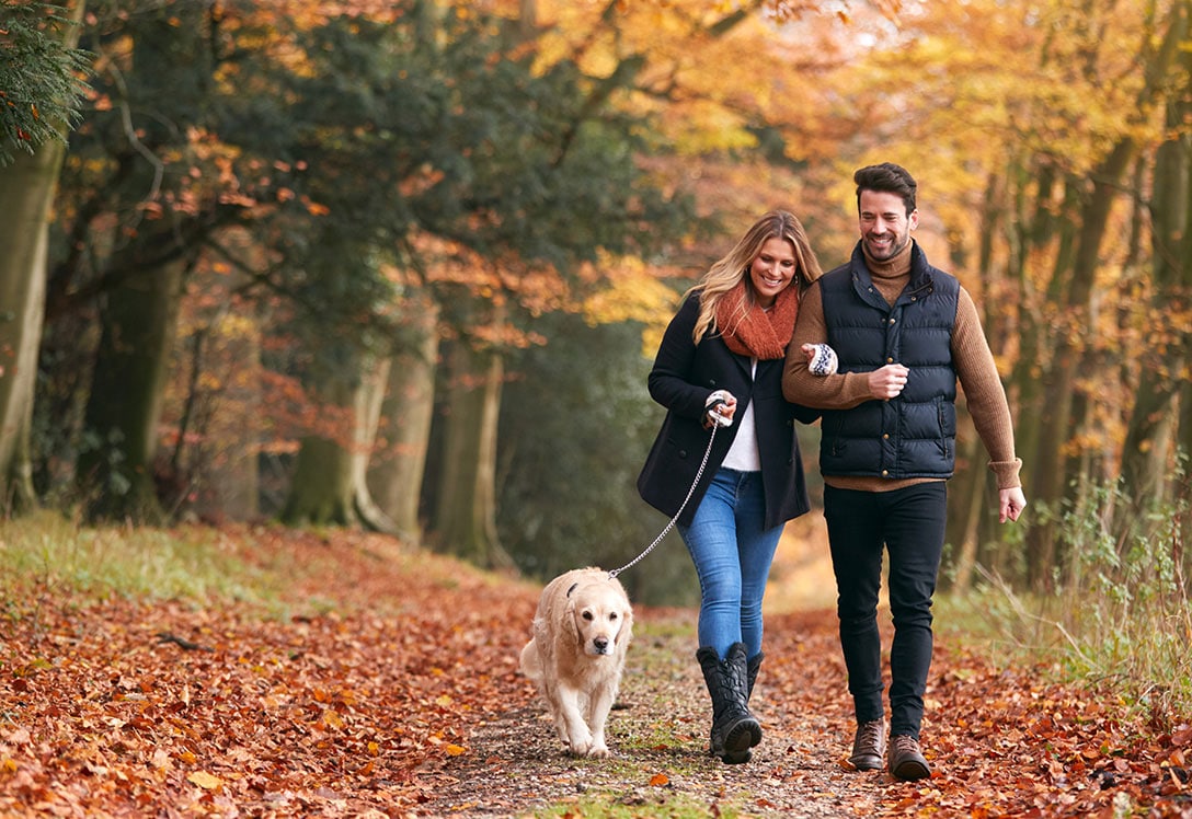 Paseo otoñal de pareja con perro