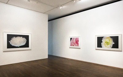 Museos y exposiciones