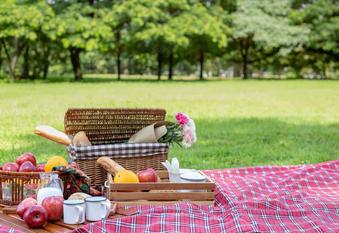 cesta-alimentos-picnic cesta alimentos picnic