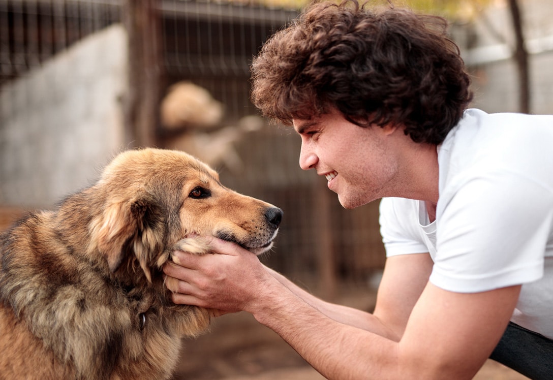 chico con su perro