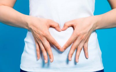 Microbiota intestinal