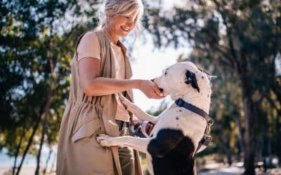 Adiestramiento canino: trucos para adiestrar a tu perro