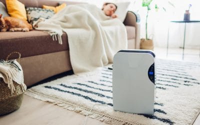¿Qué purificador de aire comprar?