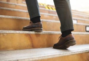 cesta alimentos picnic