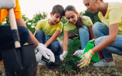 Voluntariado y cursos de verano preuniversitarios