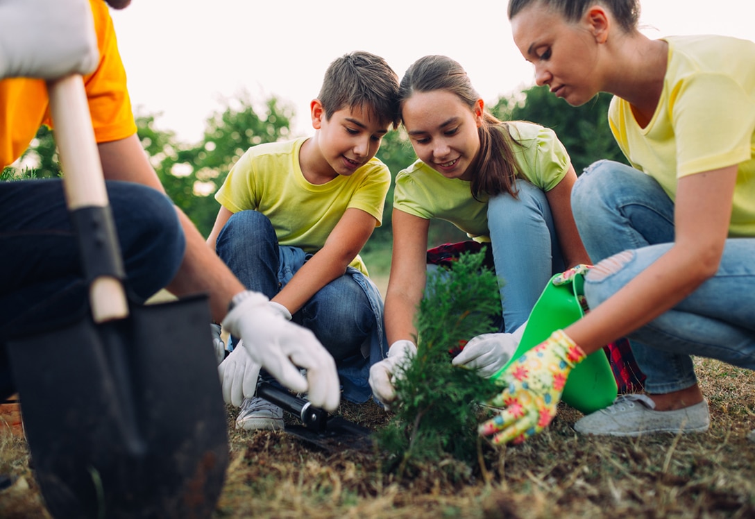 voluntariado de huerto para niños